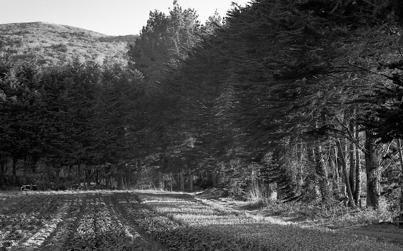 20091010_Scan012_web.jpg