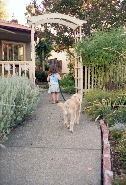 20100920_030_web.jpg