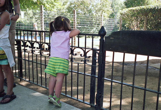 20100920_032_web.jpg
