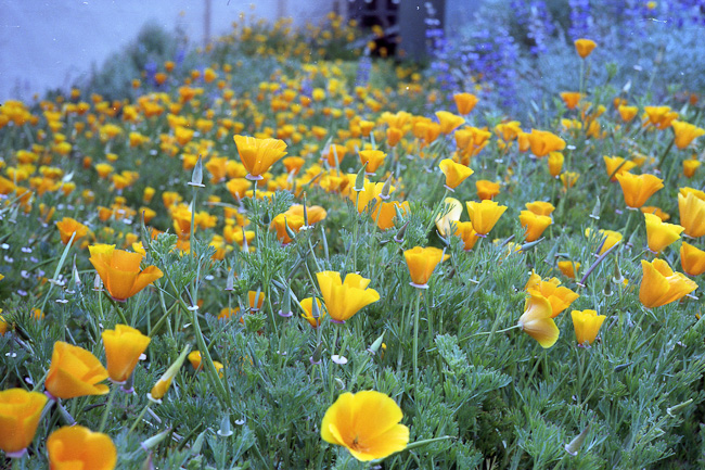 20110421_003_web.jpg