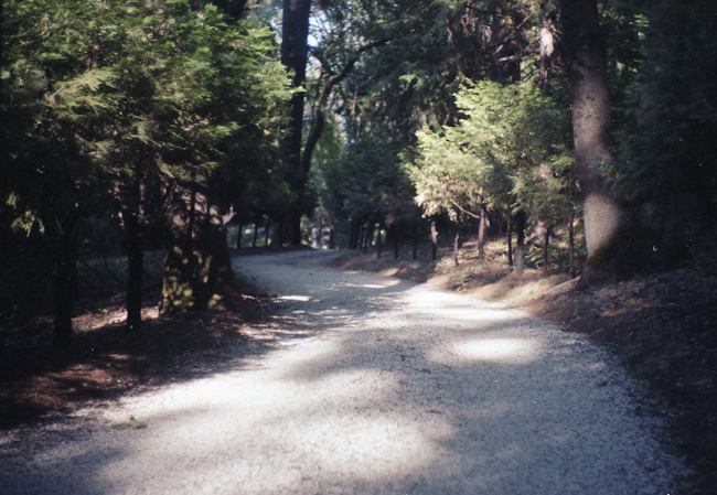 20110730_008_web.jpg