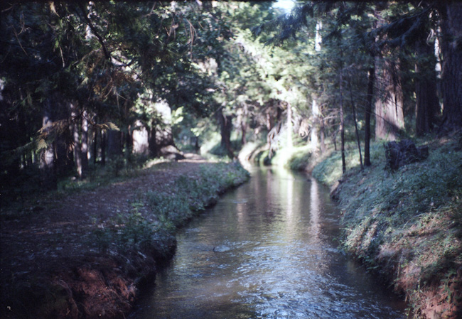 20110730_011_web.jpg