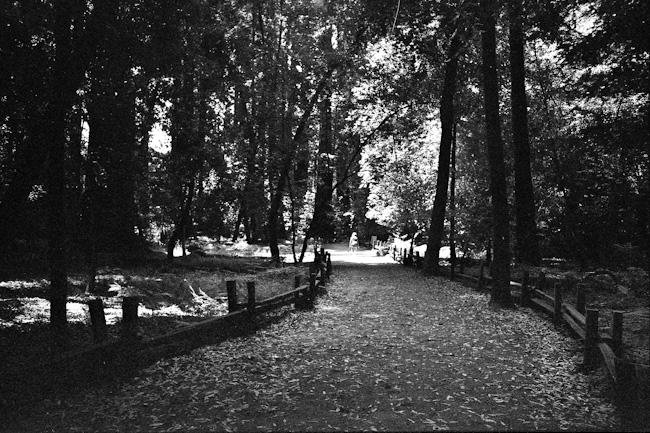 20110812_018_web.jpg