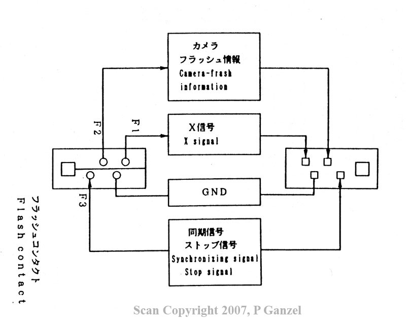 Maxxum Flash Pinouts.jpg