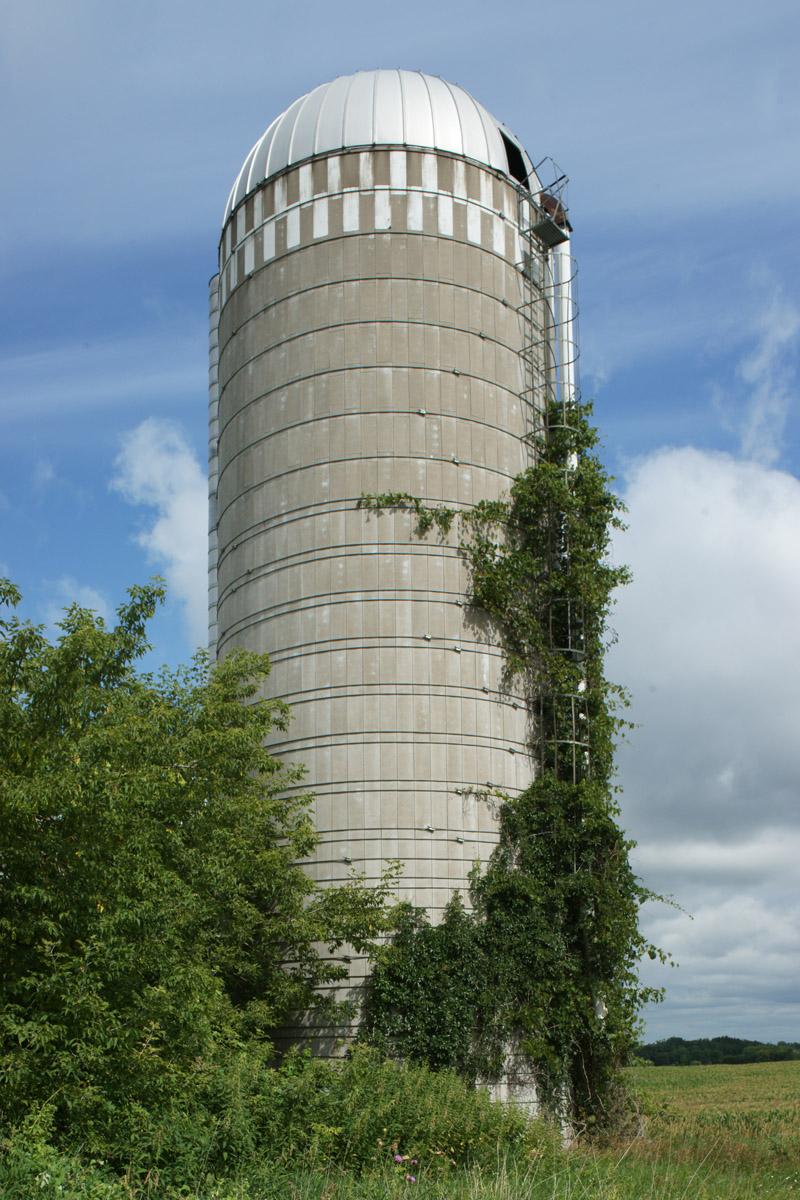 Silo Level With Rise 2559.jpg
