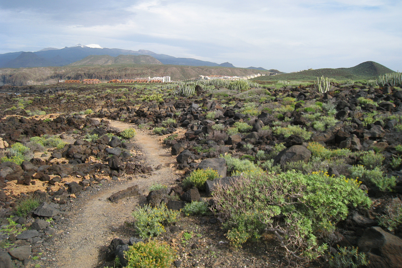 Punta de la Rasca