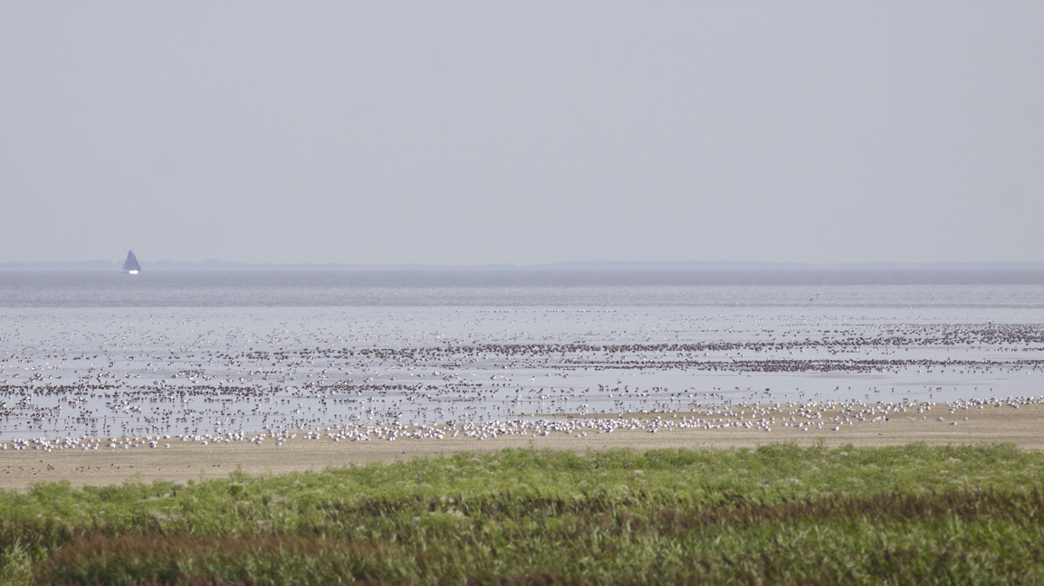 Westhoek, Fryslan, The Netherlands