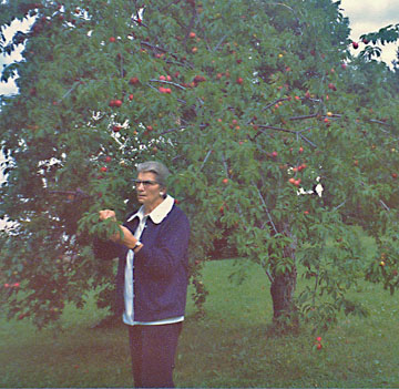 Grandma Verch (Scanned from photo)