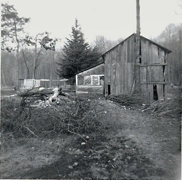 o6/94/632694/1/80940930.3liOuwsY.Ranchhaybarn1950s.jpg
