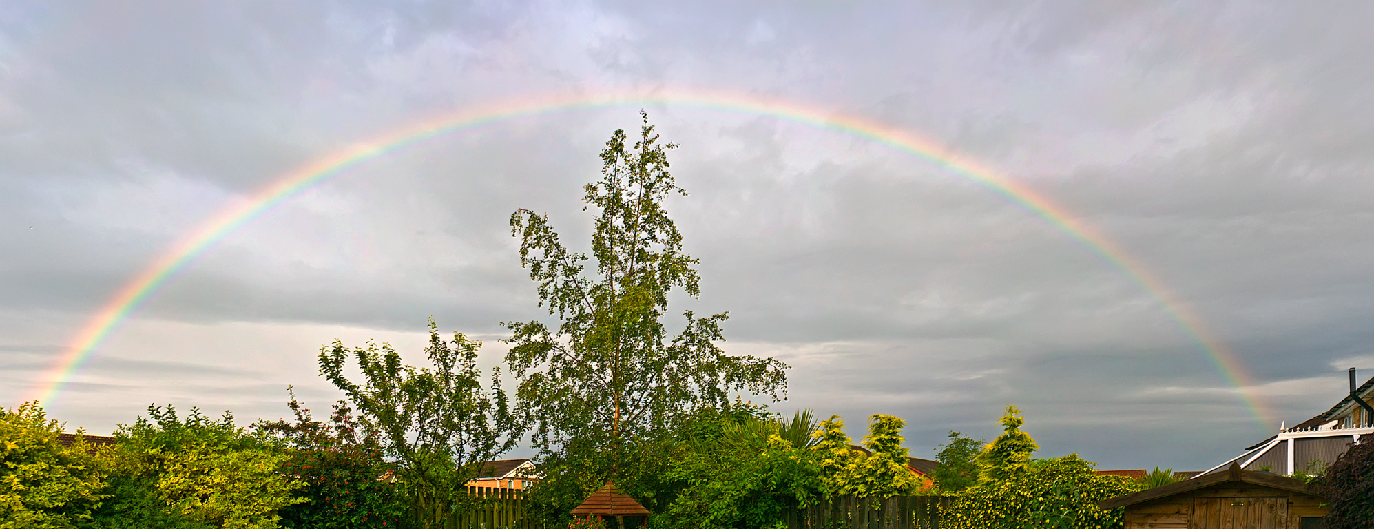 Backgarden-Rainbow-P7.jpg