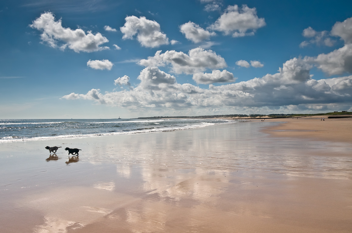 Seaton-Sluice-Beach-Wide.jpg