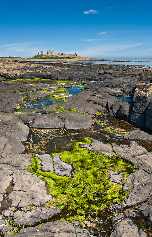 Dunstanburgh-1.jpg