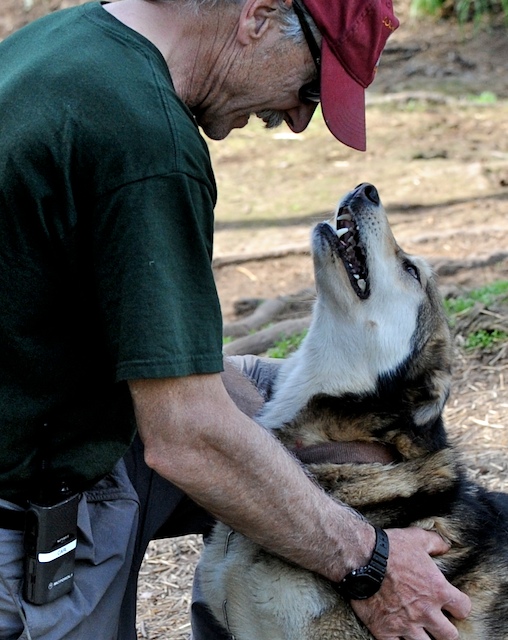 Winterlake Lodge owner Karl Dixon and one of his mush dogs-.jpg