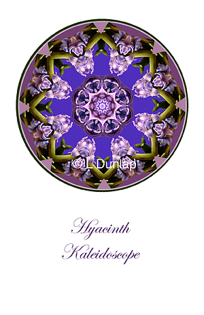 29 - Hyacinth Kaleidoscope Card