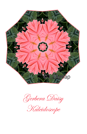 32 - Gerbera Daisy Kaleidoscope Card