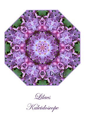 34 - Lilacs Kaleidoscope Card