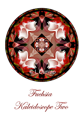 40 - Fuchsia Kaleidoscope Card