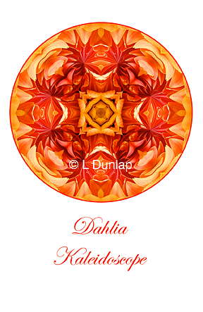 52 - Dahlia Kaleidoscope Card