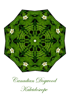 74 - Canadian Dogwood Kaleidoscope Card