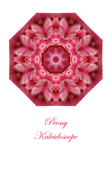 77 - Peony Kaleidoscope Card