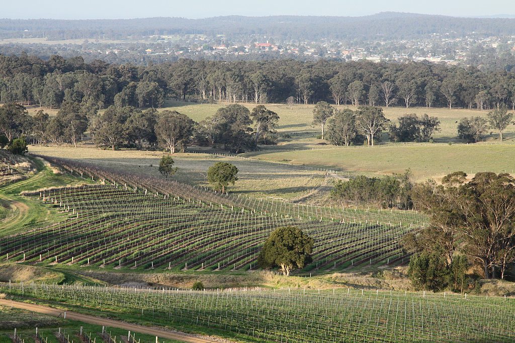 Hunter Valley