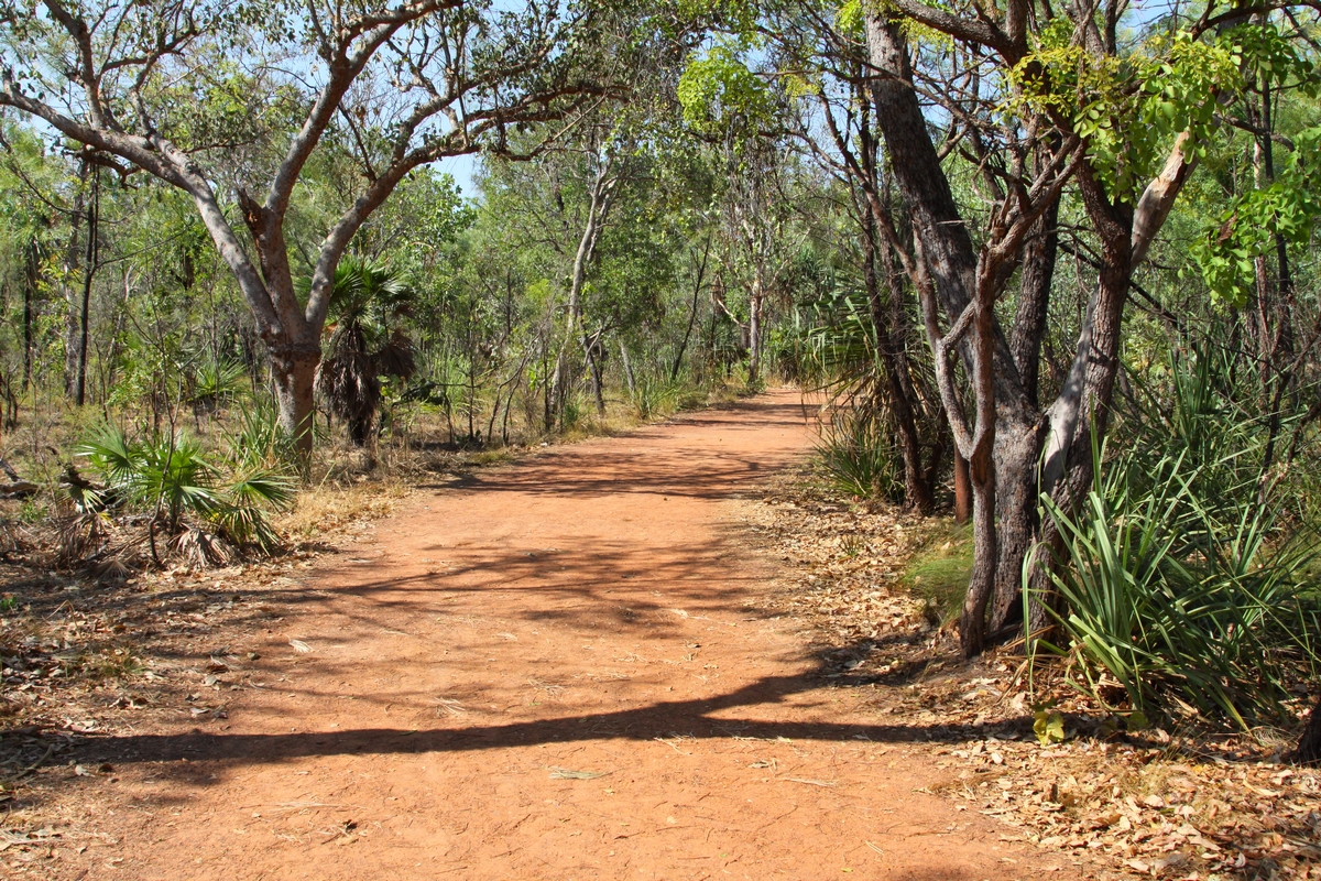 Walk way Kakadu National Park.