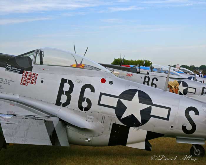 IMG_2154-(Mustangs).jpg
