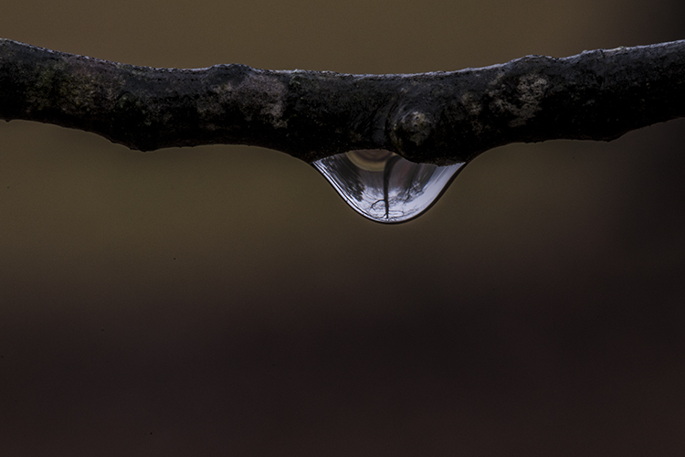 120912-_9634.jpg