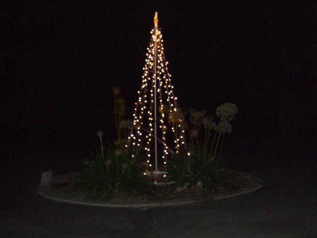 2006_12270088_resize.JPG
