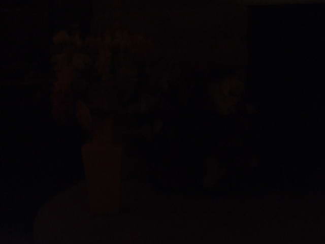 2006_12270109_resize.JPG