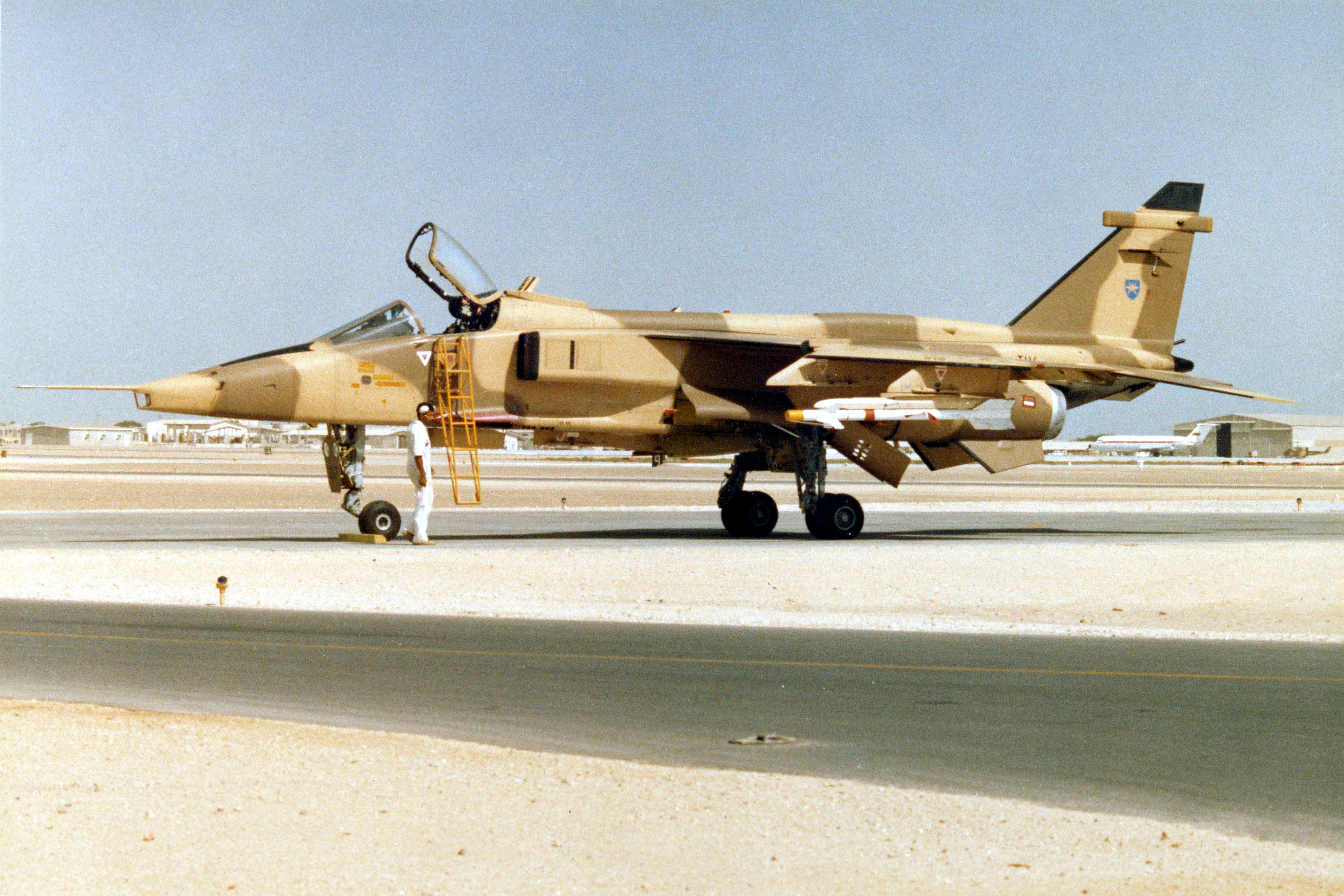 Omani Jaguar