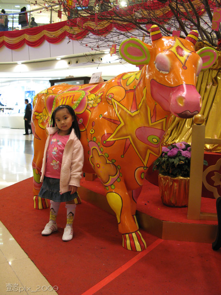 2009-01-30_APM_02.JPG