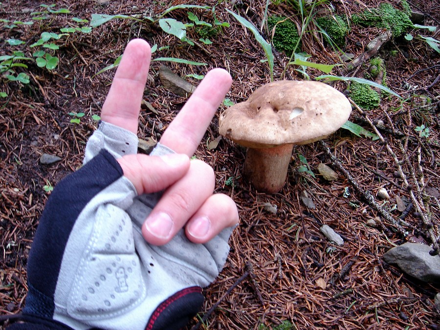 DSC06231.jpg