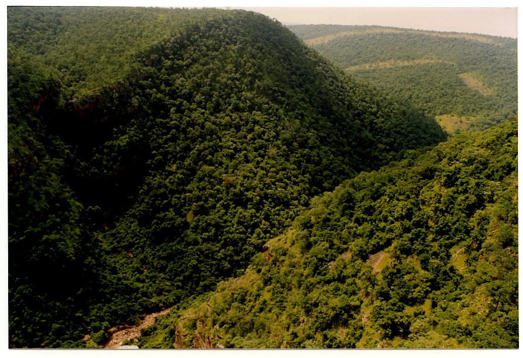 20. Front view from Sthambam.jpg