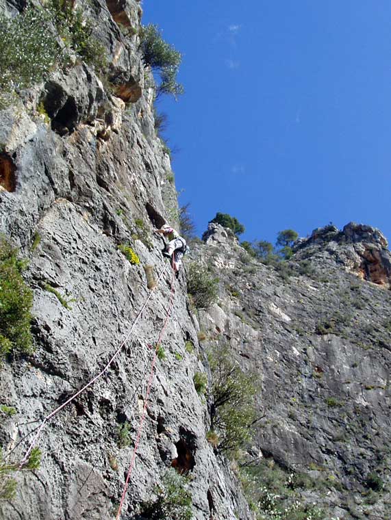 Majorca sa-gubia