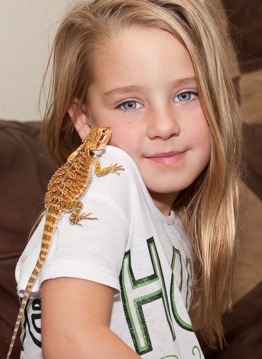 Ellie & Tailor (Bearded Dragon)