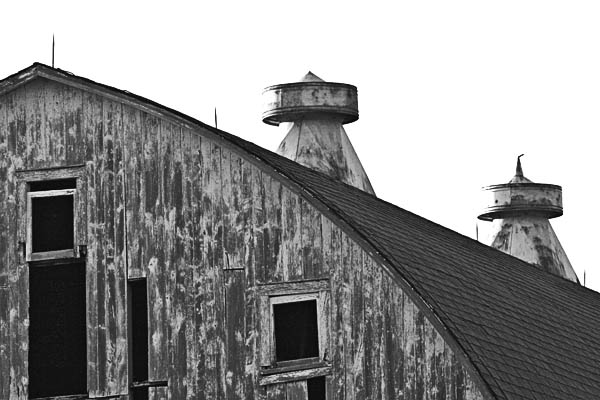 Grey Barn