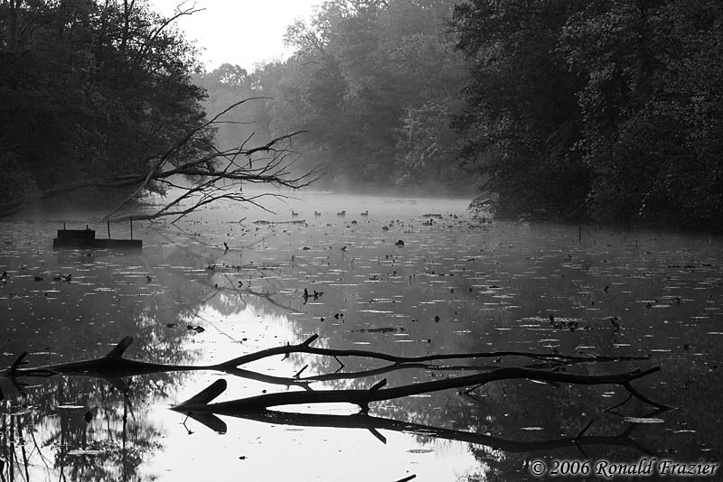 The Arrowhead - 2006 UMD Photo Contest Winner - Black & White