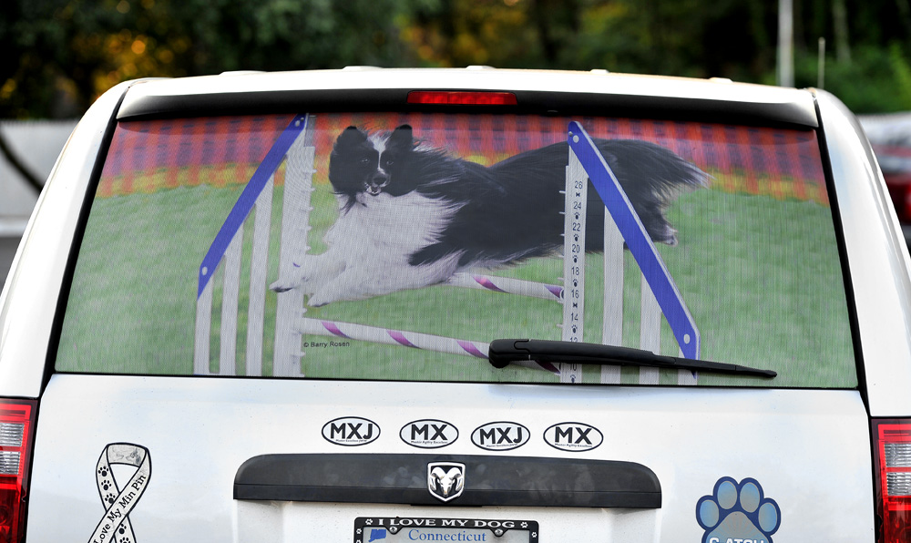 Grand Caravan rear window screen