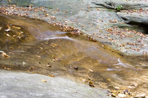 IMG_0348-1.JPG