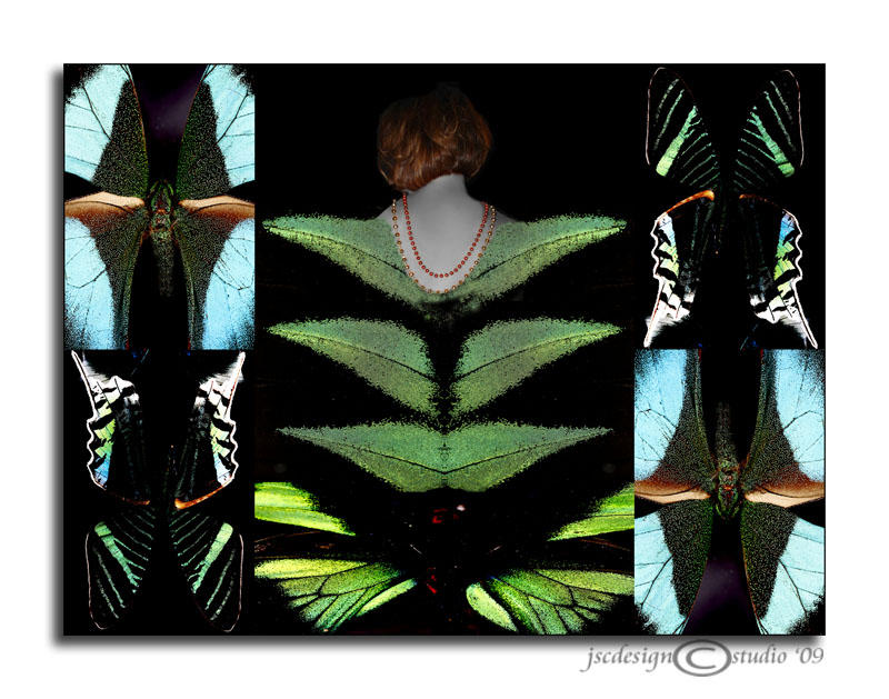 Butterflies are FREE<br>February 28