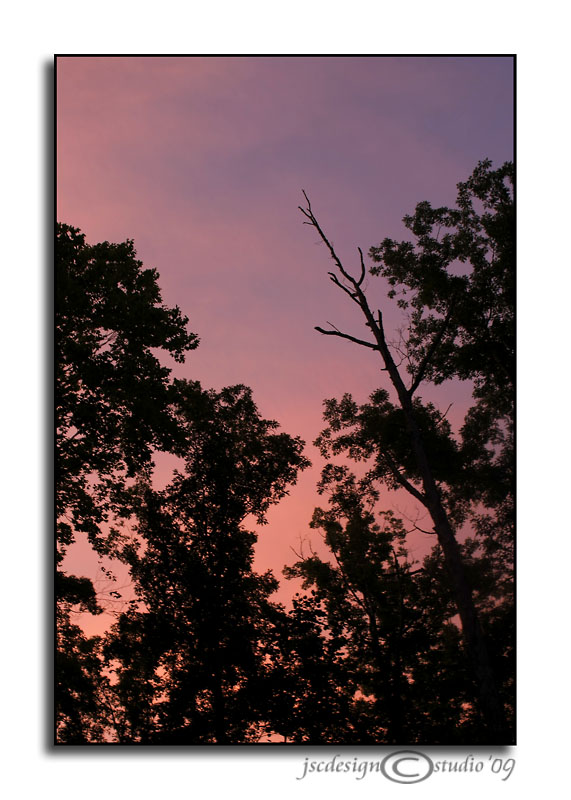 Red Skies Tonight