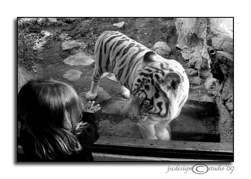 Face-to-Face
