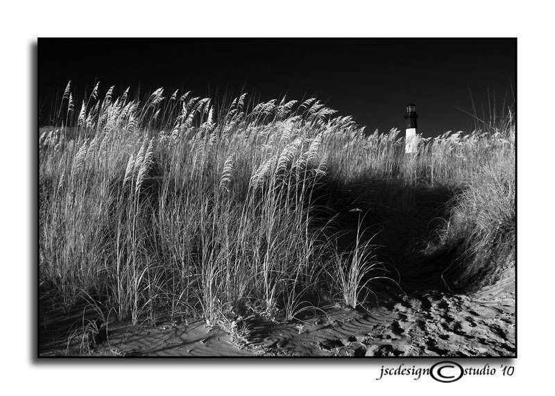 Tybee in IR XVII