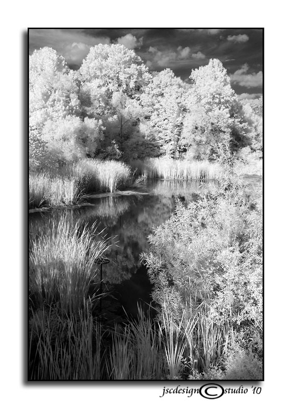 IR Pond Study II