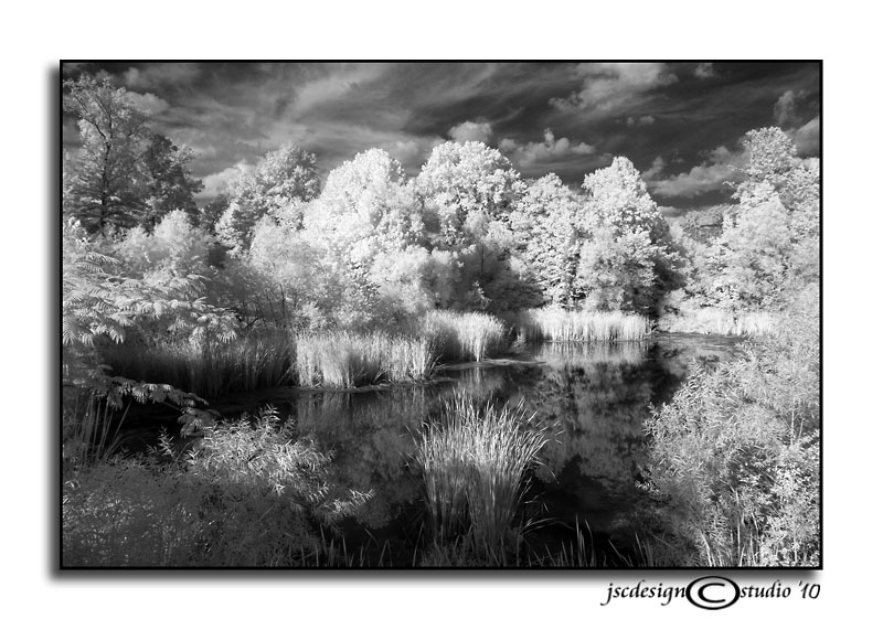 201<br>IR Pond Study I