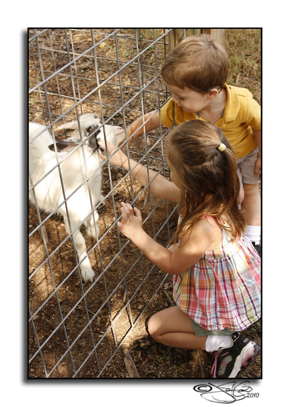 Gentry Farm III