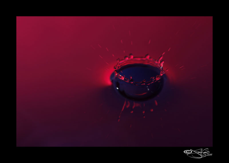 Contact