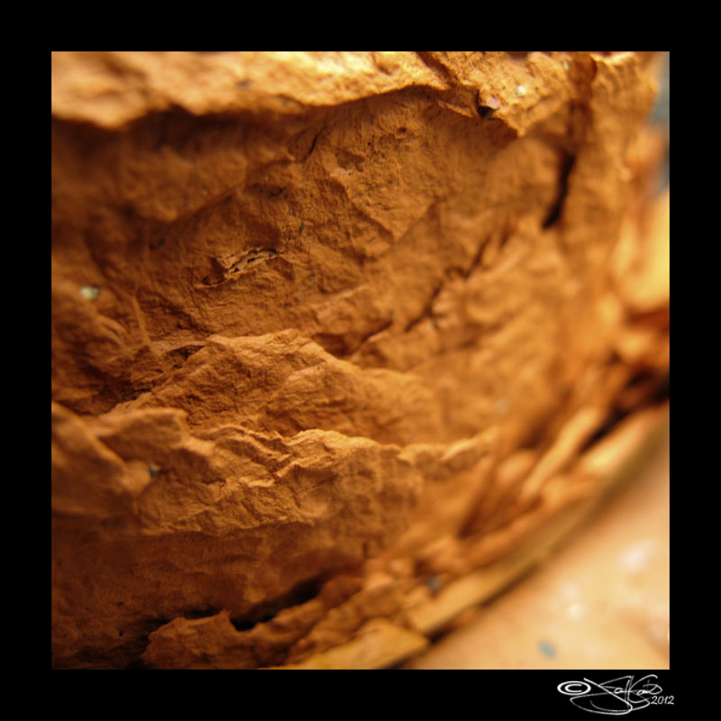 49:366<br>Fill the Frame XVIII