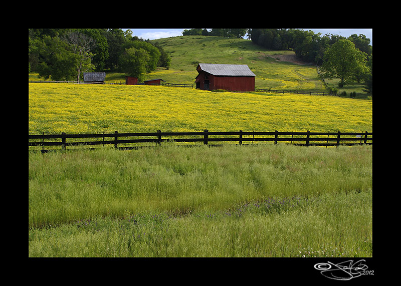 123:366<br>Red Barn